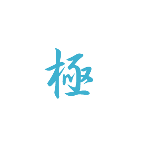 SEO極による分析
